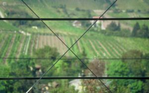 Wohnen – M2 Architekten